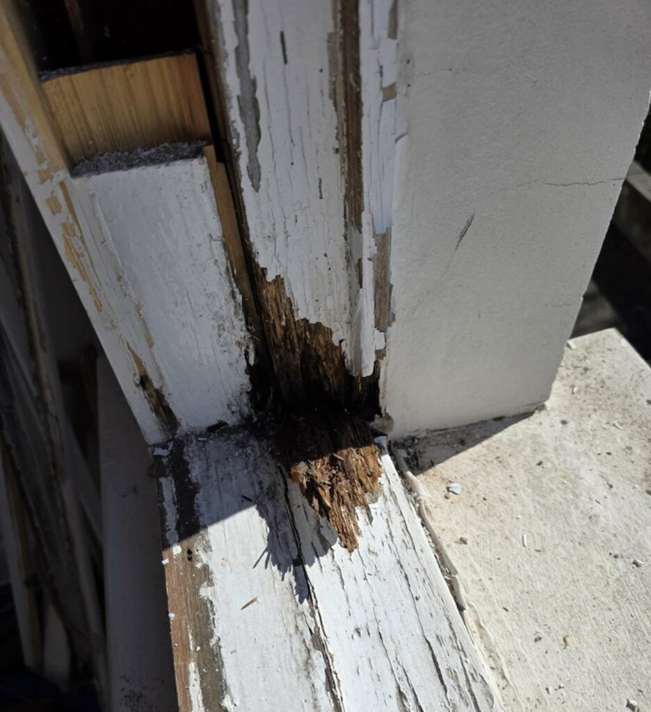 Localised rot at the lower corner of a timber sash window