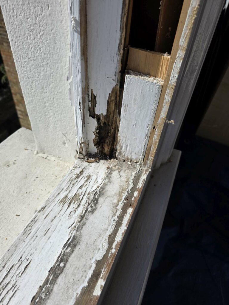 Hidden timber decay exposed in the lower section of a sash window frame during opening-up