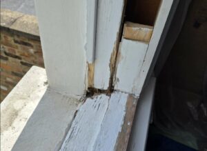 Local timber decay exposed at the lower joint of a sash window during inspection